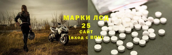 ГАЛЛЮЦИНОГЕННЫЕ ГРИБЫ Новозыбков