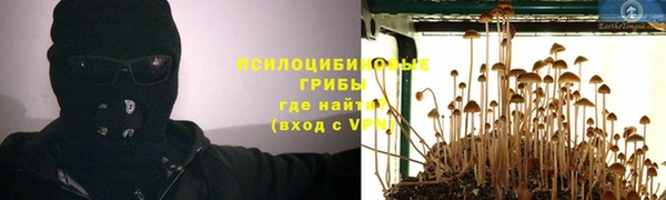 дживик Болохово