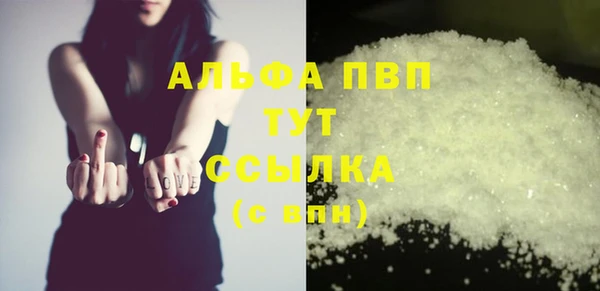 ГАЛЛЮЦИНОГЕННЫЕ ГРИБЫ Новозыбков