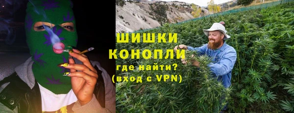 ПСИЛОЦИБИНОВЫЕ ГРИБЫ Новодвинск