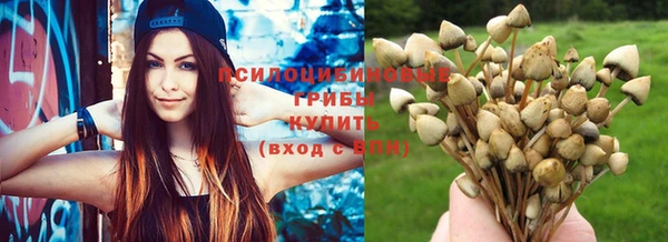 ПСИЛОЦИБИНОВЫЕ ГРИБЫ Новодвинск