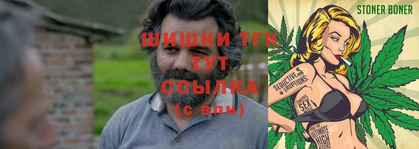 ГАЛЛЮЦИНОГЕННЫЕ ГРИБЫ Новозыбков