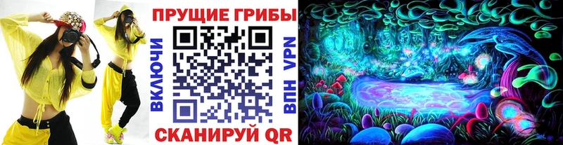 Псилоцибиновые грибы MAGIC MUSHROOMS  Оса 